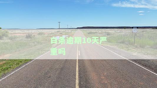 白条逾期10天严重吗怎么办，白条逾期10天严重吗？解决方案全在这里！