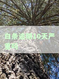 白条逾期10天严重吗，警惕！白条逾期10天可能会带来严重的后果