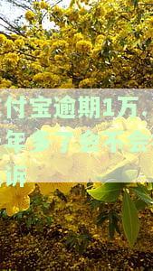 支付宝逾期一万元一年后，总共需要偿还多少？包括本金和利息？