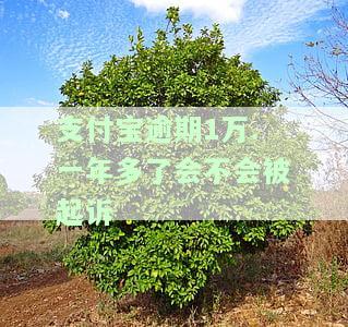 支付宝逾期1万.一年多了会不会被起诉