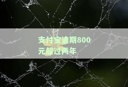 支付宝逾期800元超过两年会怎样，警惕！支付宝逾期800元超过两年，可能面临哪些后果？