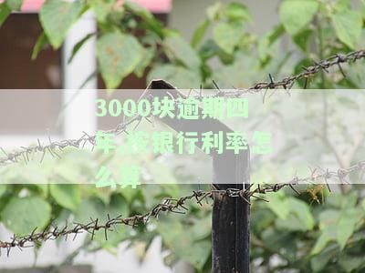 3000块钱逾期3年利息是多少，逾期3年的3000元贷款，利息会是多少？