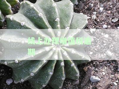 增值税逾期缴纳可网上扣款？全解！