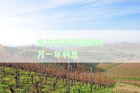 支付宝花呗逾期两个月利息具体会增加多少?