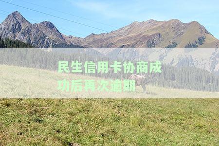 民生信用卡协商成功后再次逾期-民生信用卡协商成功后再次逾期怎么办