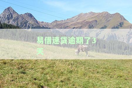 易借速贷逾期2天会上征信吗？影响大吗？