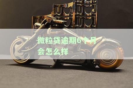 微粒贷逾期6个月会怎么样处理，逾期6个月，微粒贷将采取何种处理措？