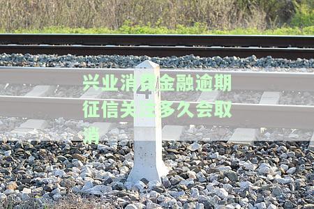 兴业消费金融贷款逾期后果：能只还本金吗？