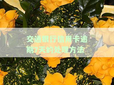 交通银行信用卡逾期7天的处理方法