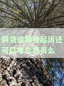 网贷逾期了被起诉还能工作吗，网贷逾期未还遭起诉，是否会影响工作？