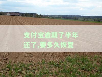 支付宝逾期半年还清，多久能恢复征信？