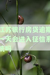 江银行房贷逾期一天会进入征信系统吗安全吗，江银行房贷逾期一天是否会进入征信系统？安全性如何？