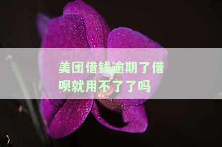 美团借钱逾期不还会有什么影响？如何解决逾期问题及是否会上征信？
