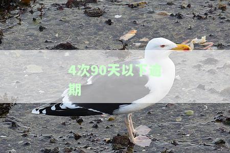4次90天以下逾期的计算方法及严重性