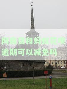 网商贷和蚂蚁花呗逾期可以减免吗是真的吗，网商贷和蚂蚁花呗逾期是否可以减免？真相大揭秘！