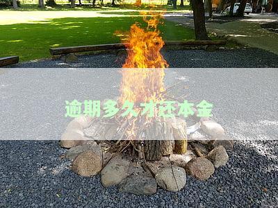 逾期多久才还本金最合适？探讨还款期限与全额偿还的关系