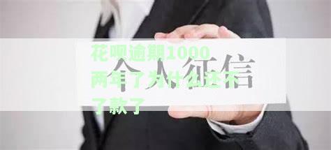 花呗逾期1000天不还款有什么后果_，警惕！花呗逾期1000天未还款的严重后果