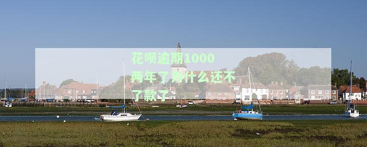 花呗逾期1000两年了为什么还不了款了-花呗逾期1000两年了为什么还不了款了呢