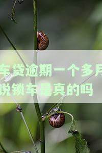 车贷逾期一个多月，真的会被锁车吗？