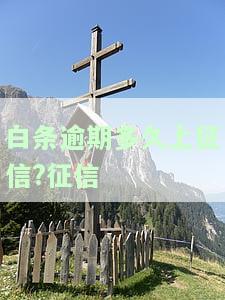 白条逾期多久上征信？逾期几天会上征信？