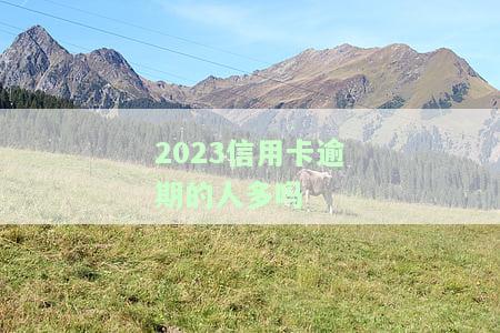 21年信用卡逾期：如何解决并影响贷款申请？
