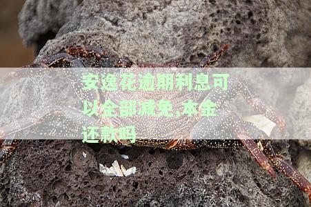 安逸花逾期利息可以全部减免,本金还款吗
