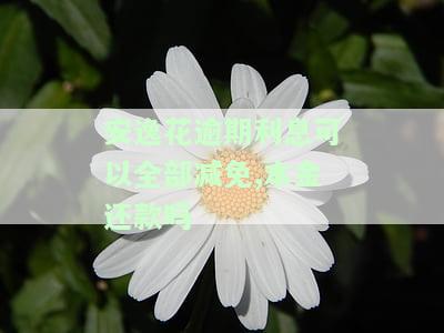 安逸花逾期利息可以全部减免,本金还款吗