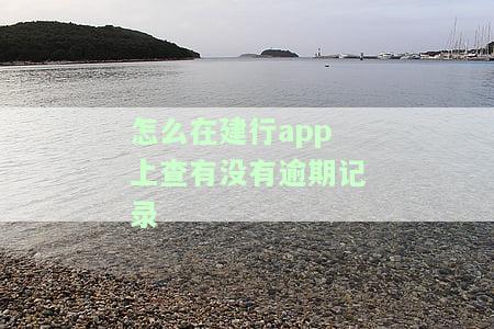建行怎么看自己贷款还欠多少，如何在建行中查看个人贷款未偿还金额？