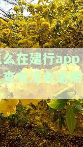 建行怎么看征信，如何在建行查看个人征信报告？