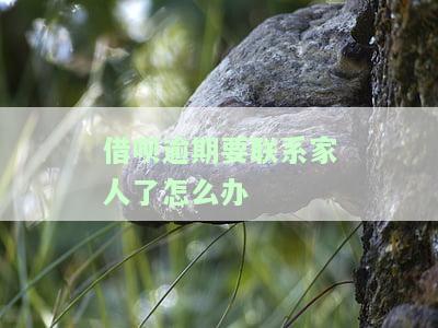 借呗逾期说联系家人，警惕！借呗逾期可能导致个人信息泄露，甚至可能被联系家人