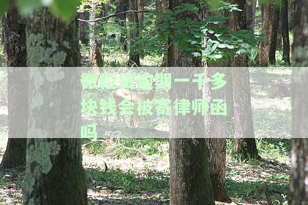 微粒贷欠款2000元逾期60天，发来律师函是否会被起诉？