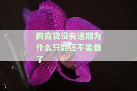 网商贷没有逾期为什么只能还不能借？已经快还完却没额度