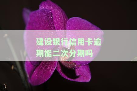 建设银行信用卡逾期能二次分期吗怎么办，如何解决建设银行信用卡逾期问题：能否进行二次分期？