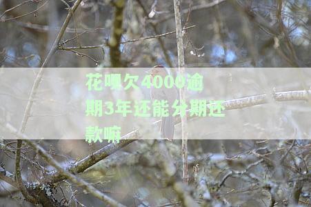 欠花呗4000多元逾期1年之后还,罚多少利息，逾期一年还清4000多元花呗，需要支付多少罚息？