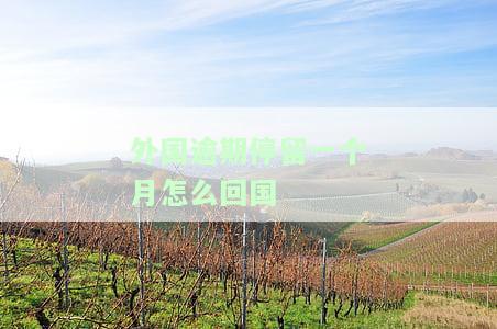 外国逾期停留一个月怎么回国呢，如何应对外国逾期停留一个月并顺利回国？