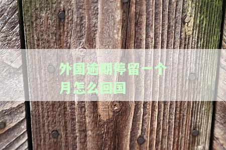 在国外逾期后回国：对个人及公司的影响分析