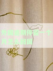 外国人逾期停留：处罚与罚款