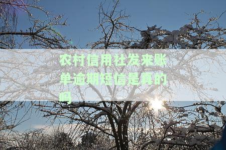 农村信用社逾期处理方法全攻略