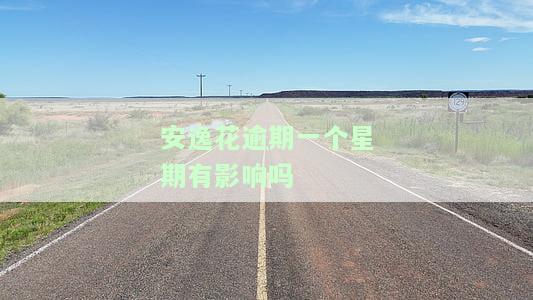 安逸花逾期一天会对征信有影响吗？逾期一天的后果及是否产生逾期费用？