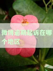 微博逾期起诉：短信威胁真的会怎样？