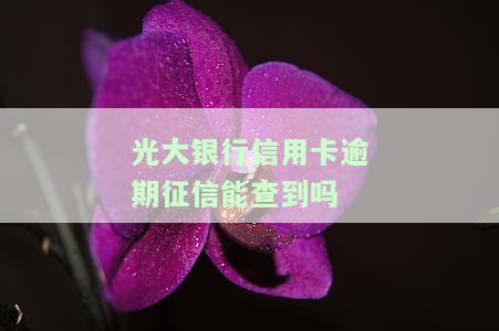 2021年光大银行信用卡逾期，警惕！2021年光大银行信用卡逾期，影响你的信用记录！