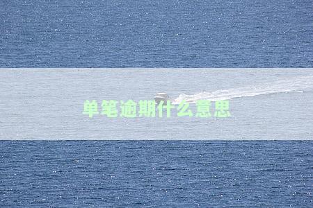 单笔还款是什么意思？请详细解释