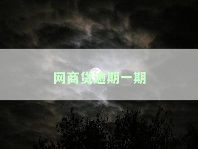网商贷逾期一期-网商贷逾期一期要全额结清吗?