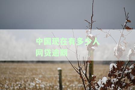 全中国网贷逾期人数：现状、规模及影响深度解析
