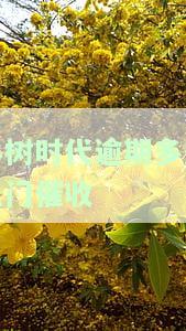 小树时代会上门催收吗？如何应对催收，催收员下场揭秘