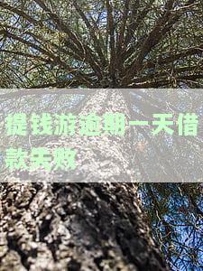 提钱游逾期一天会上征信么，关于提钱游逾期一天是否会上征信的问题