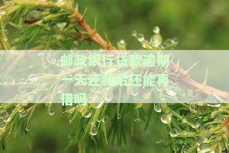 邮政银行贷款逾期一天会否影响信用？