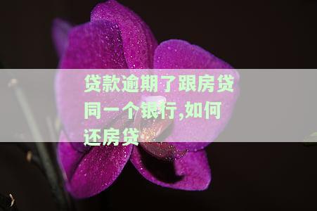 房贷有一个逾期怎么办，房贷逾期处理攻略：应该怎样应对？