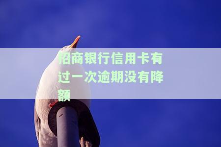 招商银行信用卡有过一次逾期没有降额-招商银行信用卡有过一次逾期没有降额怎么办