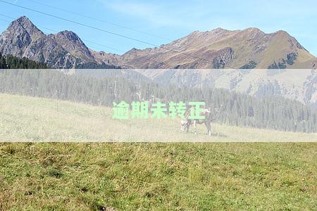逾期未转正的预备员工作关系调动，预备员工作关系调动：逾期未转正的影响与处理